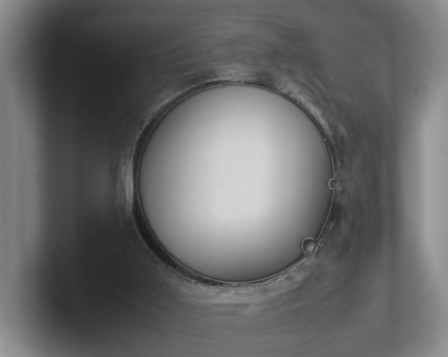 X0000102520011200808151543