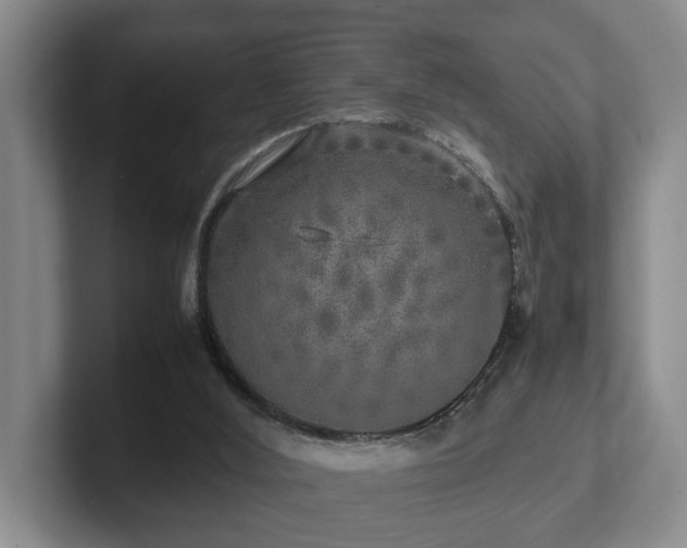 X0000102520012200808151543