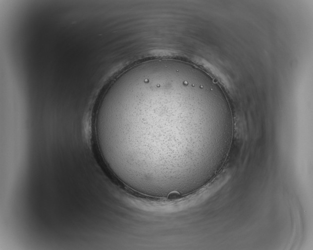 X0000102520015200808151543