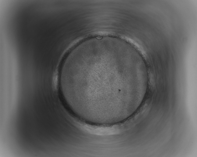 X0000102520016200808151543