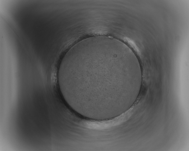 X0000102520017200808151543