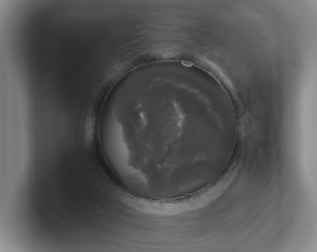 X0000102520018200808151543