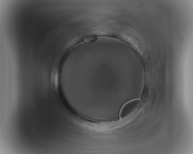 X0000102520019200808151543