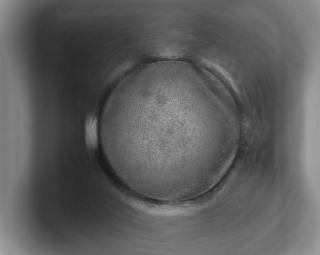 X0000102520020200808151543