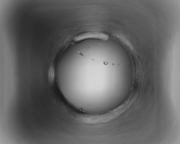 X0000102520021200808151543