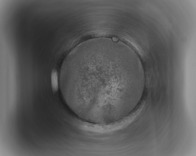 X0000102520022200808151543