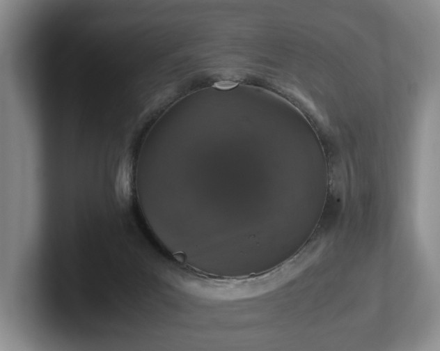 X0000102520023200808151543