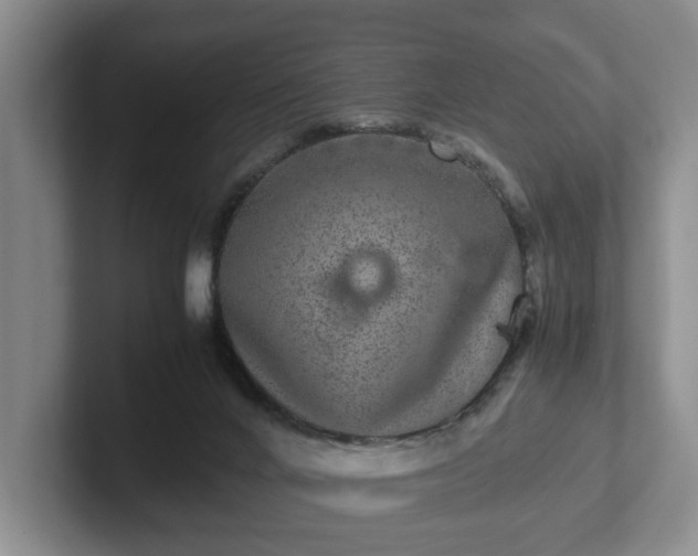 X0000102520024200808151543