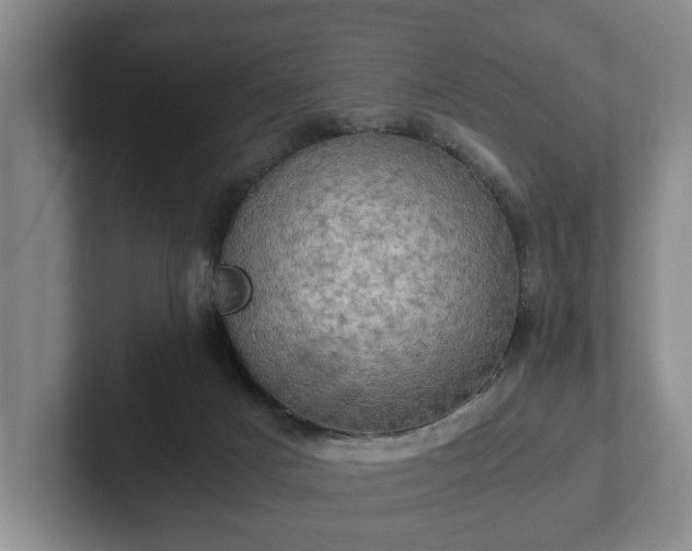 X0000102520025200808151543