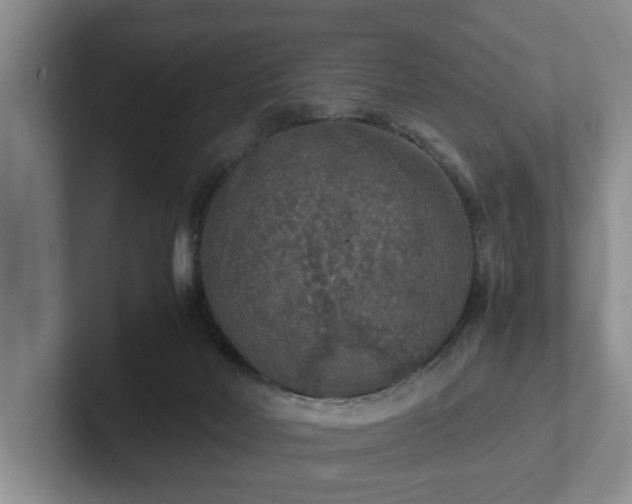 X0000102520026200808151543