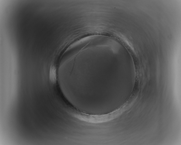 X0000102520027200808151543