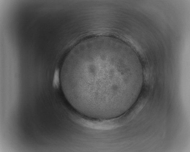 X0000102520028200808151543