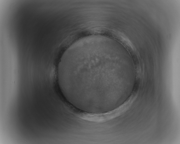 X0000102520029200808151543