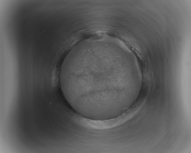 X0000102520030200808151543