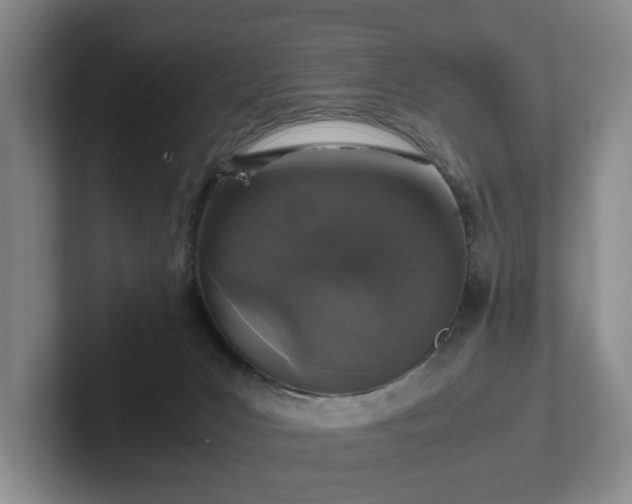 X0000102520031200808151543