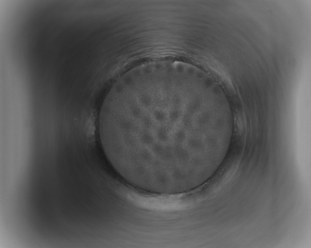 X0000102520032200808151543