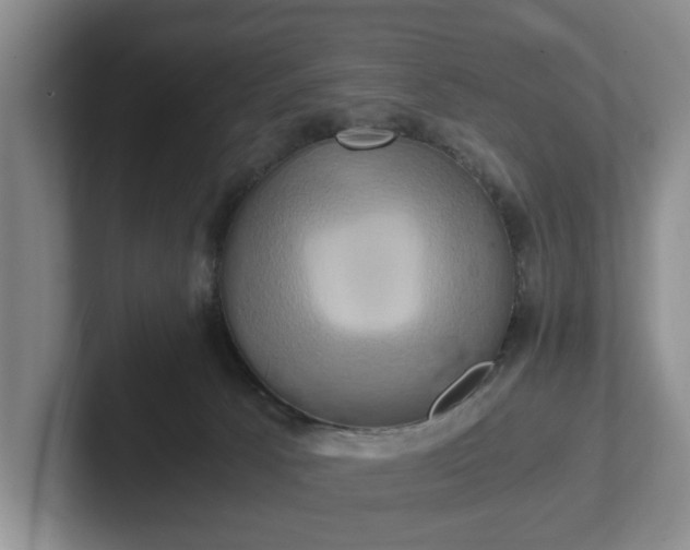 X0000102520033200808151543