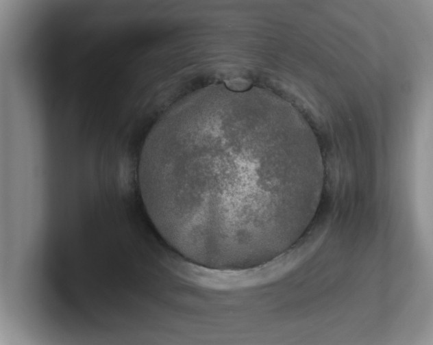 X0000102520034200808151543