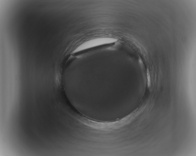 X0000102520035200808151543