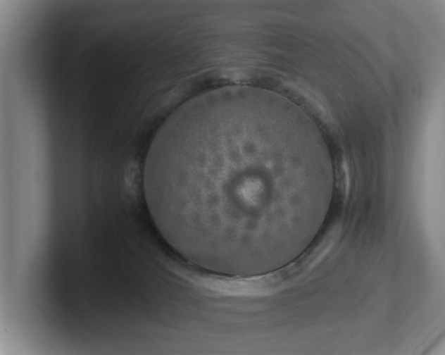 X0000102520036200808151543