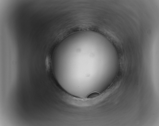 X0000102520038200808151543