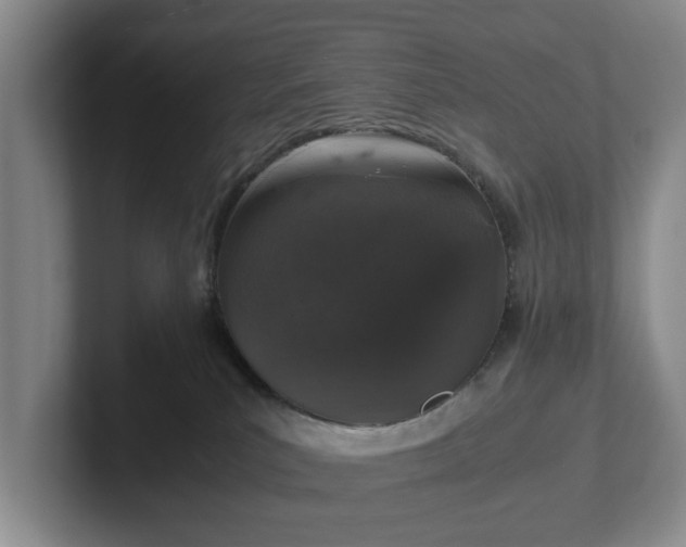 X0000102520039200808151543