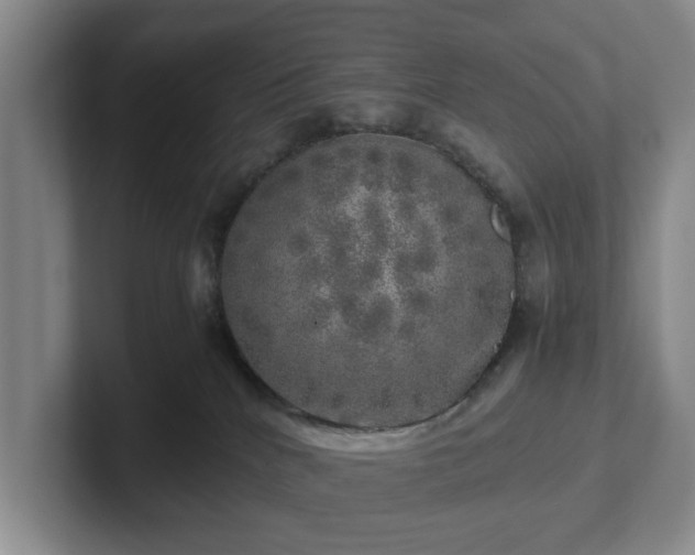 X0000102520040200808151543