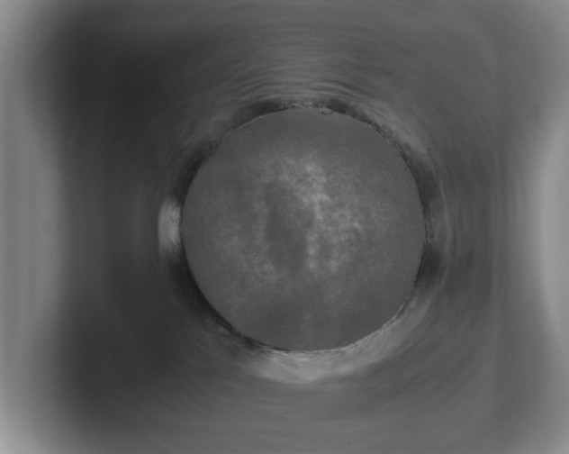 X0000102520041200808151543