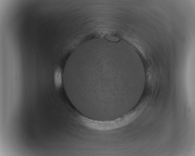 X0000102520042200808151543