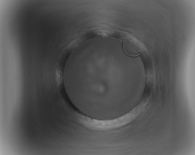 X0000102520043200808151542