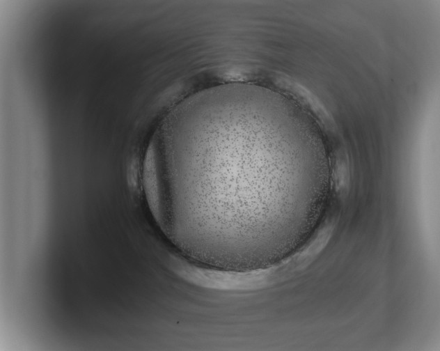 X0000102520044200808151542