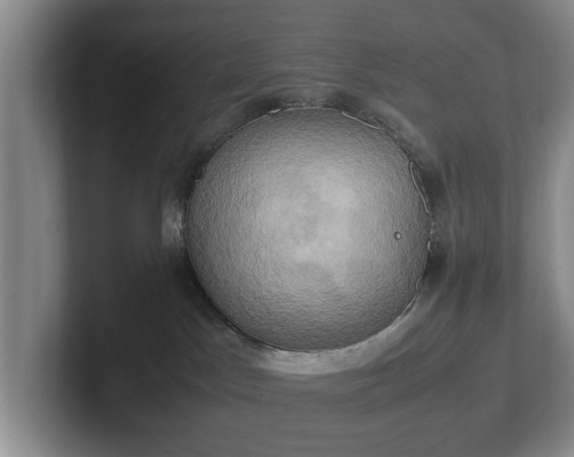 X0000102520045200808151542