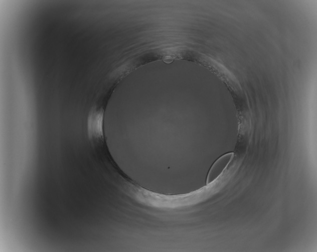 X0000102520047200808151542