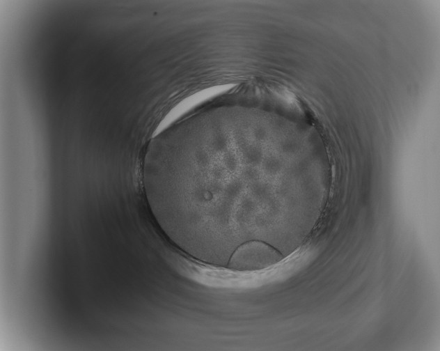 X0000102520048200808151542