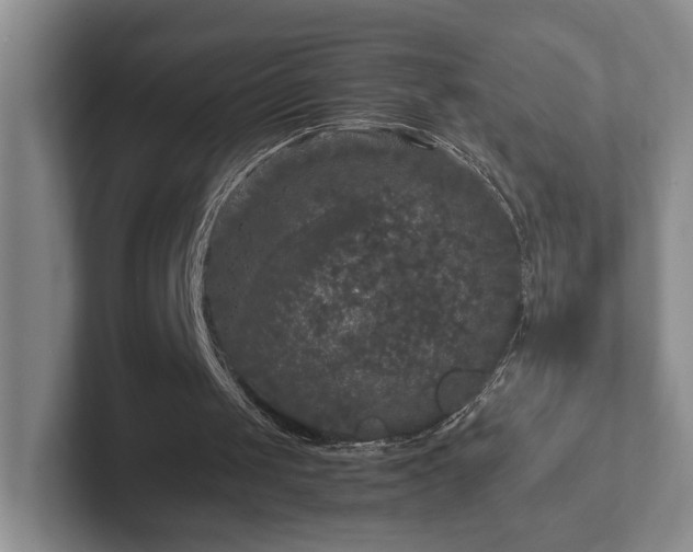 X0000102520049200808151542