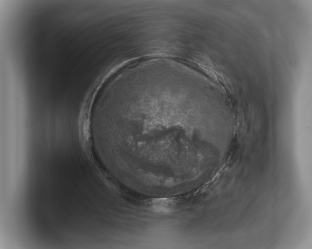 X0000102520050200808151542