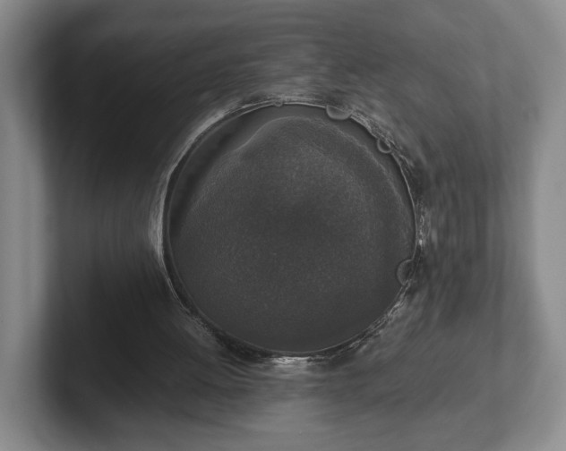 X0000102520052200808151542