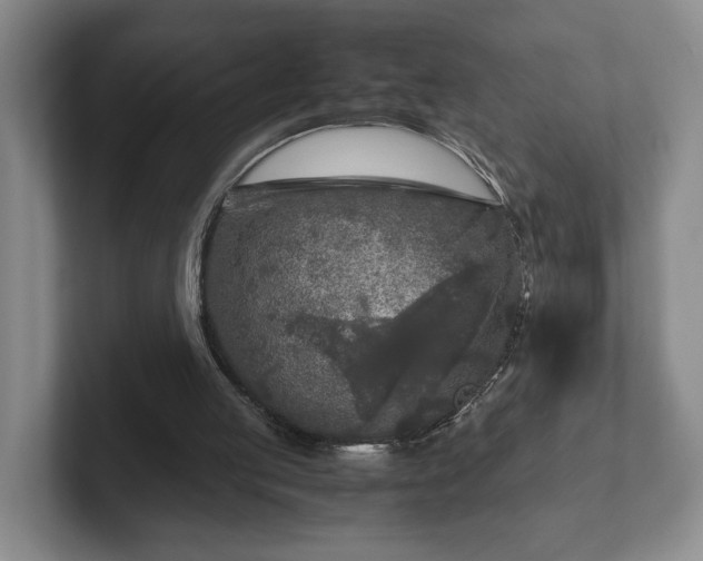 X0000102520053200808151542