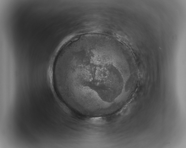 X0000102520054200808151542