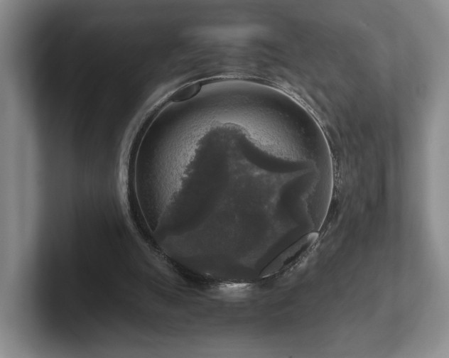 X0000102520055200808151542