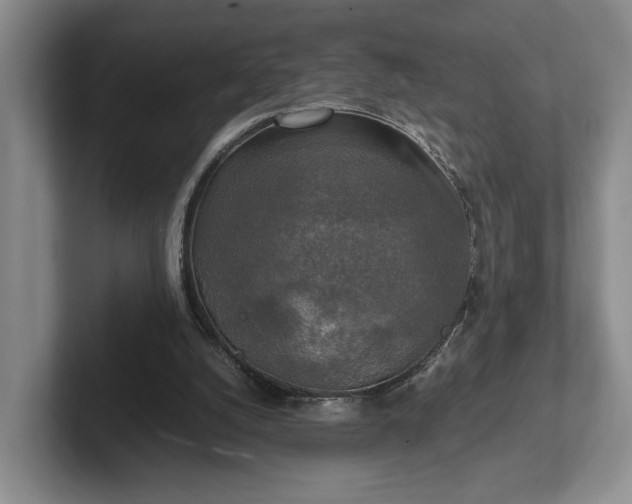 X0000102520056200808151542