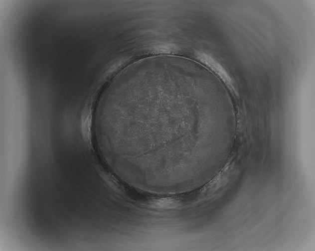 X0000102520058200808151542