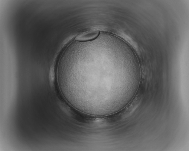 X0000102520060200808151542