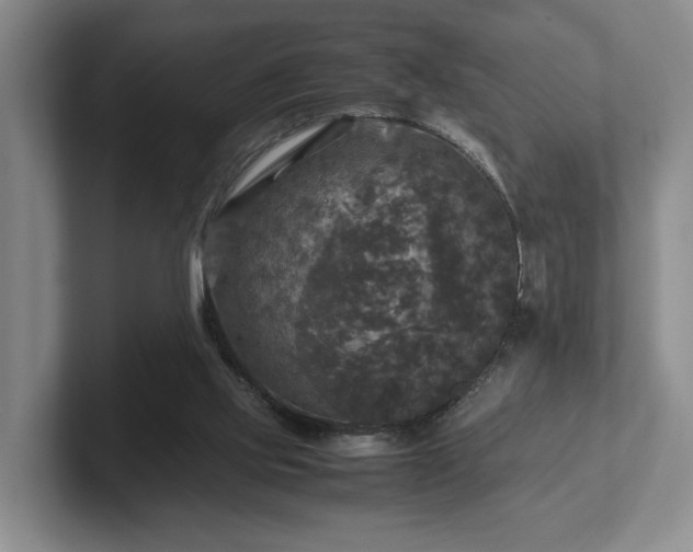 X0000102520061200808151542