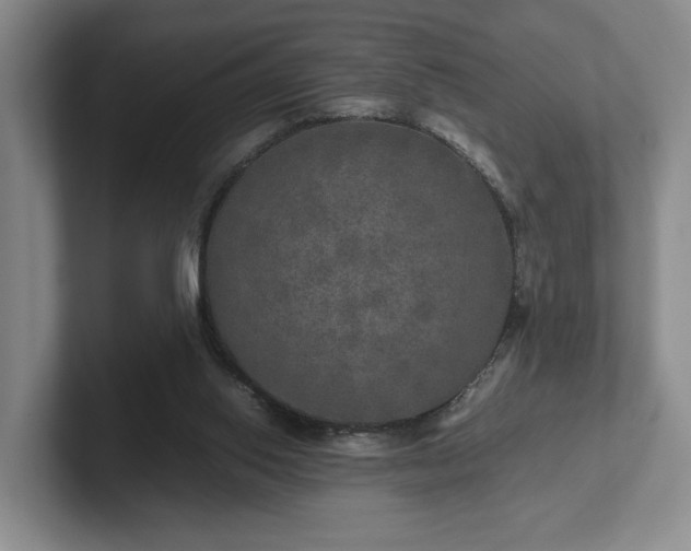 X0000102520062200808151542