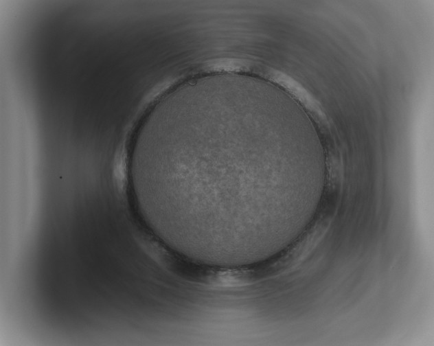 X0000102520064200808151542