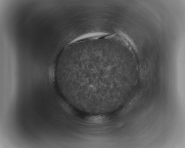 X0000102520065200808151542