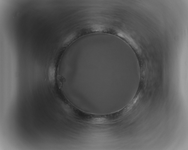 X0000102520066200808151542