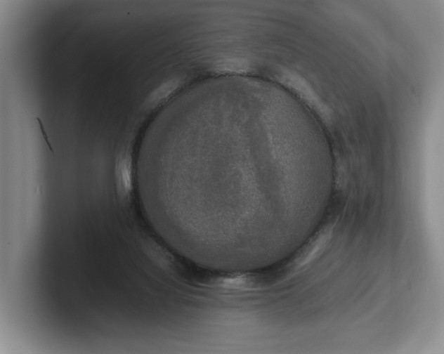 X0000102520068200808151542