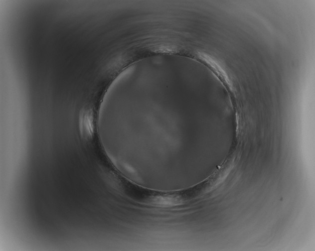 X0000102520069200808151542